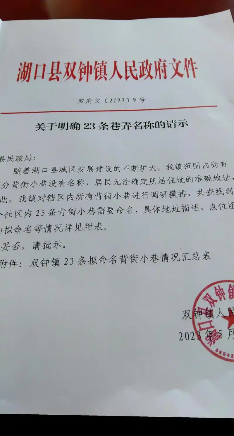 妥否,请批示.分背街小巷没有名称,居民无法确定所居住地的准-抖音