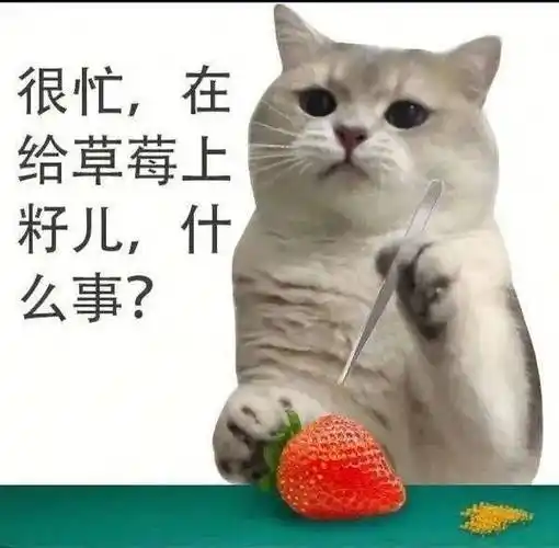 猫猫很忙表情包_侵权_网络