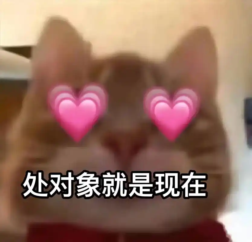 聊天搭子#我想谈恋爱#猫咪表情包-抖音