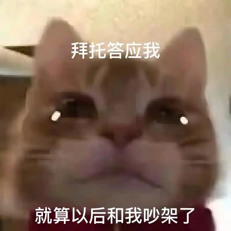 好不好嘛#歪嘴小猫#歪嘴小猫表情包#艾特你想艾特的人-抖音