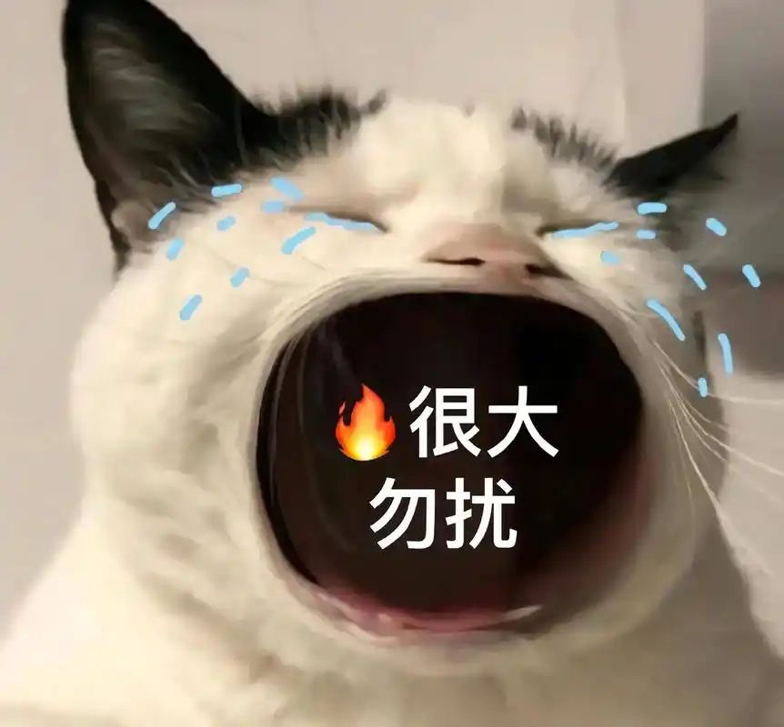 猫猫张大嘴#表情包#可爱到爆炸99-抖音