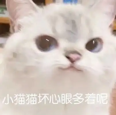 猫咪表情包#弱小可怜又无助#一看就没什么心眼的猫猫-抖音