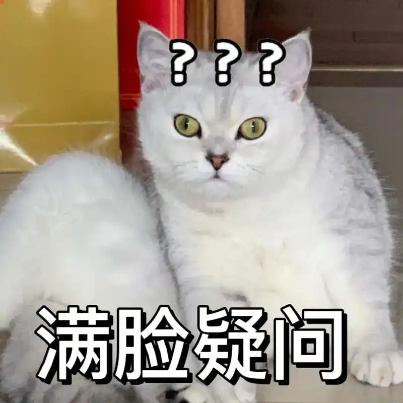 谁能解答一下小猫咪的疑问?#猫咪表情包#表情包#抖音图文-抖音