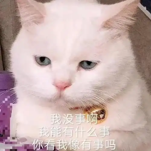 猫咪表情包##搞笑表情包##表情包分享##表情包####可爱表情