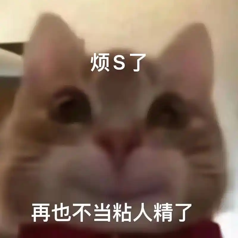 啥也不是#表情包#歪嘴小猫#歪嘴小猫表情包#表情包分享-抖音