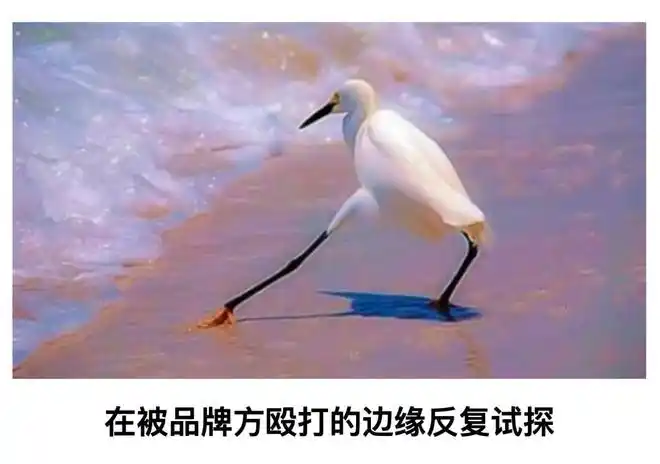 综合自己能带多少货的评估,精准报出一个在品牌方掀桌的边缘反复试探