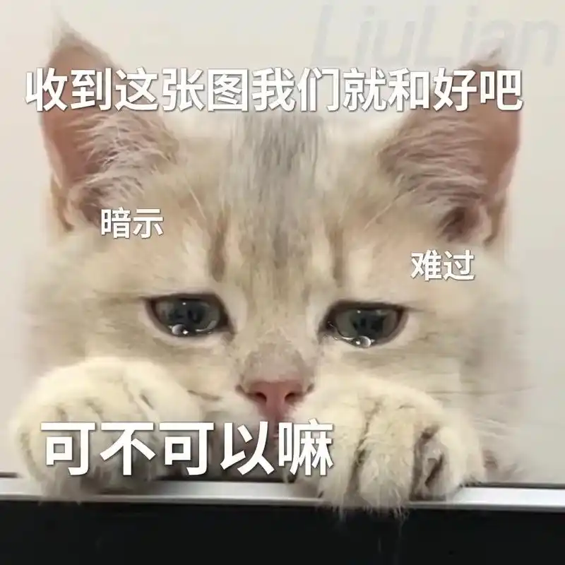 宝收到这张图我们就和好吧好不好嘛#猫咪表情包#表情包-抖音