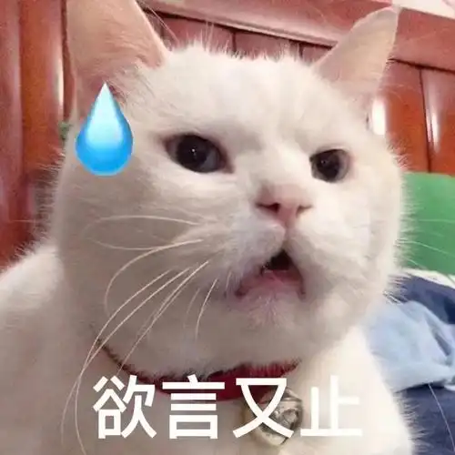 欲言又止无语住了发朋友圈表情包紧脏没事早点睡有空多挣钱(猫咪兔