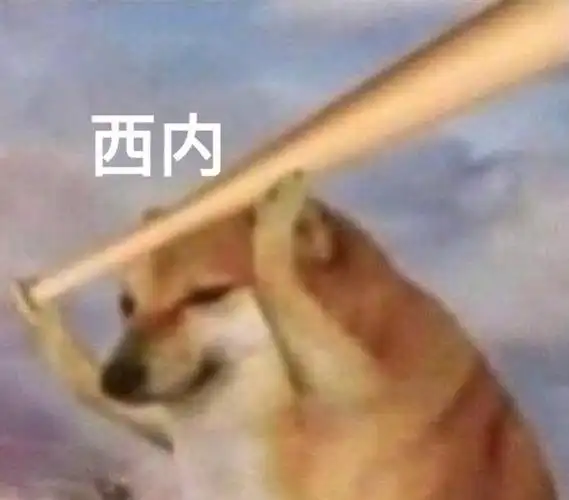 西内狗狗doge表情包doge西内表情