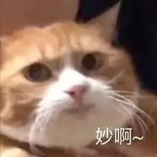 妙啊~(猫咪表情包)_猫咪表情