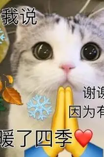 小猫咪说谢谢您表情包可爱(小猫咪说谢谢您表情包可爱)