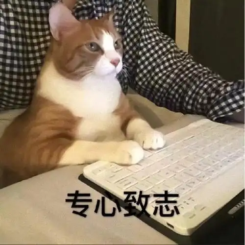 萌宠猫星人专心致志认真搞怪逗gif动图_动态图_表情包下载_soogif