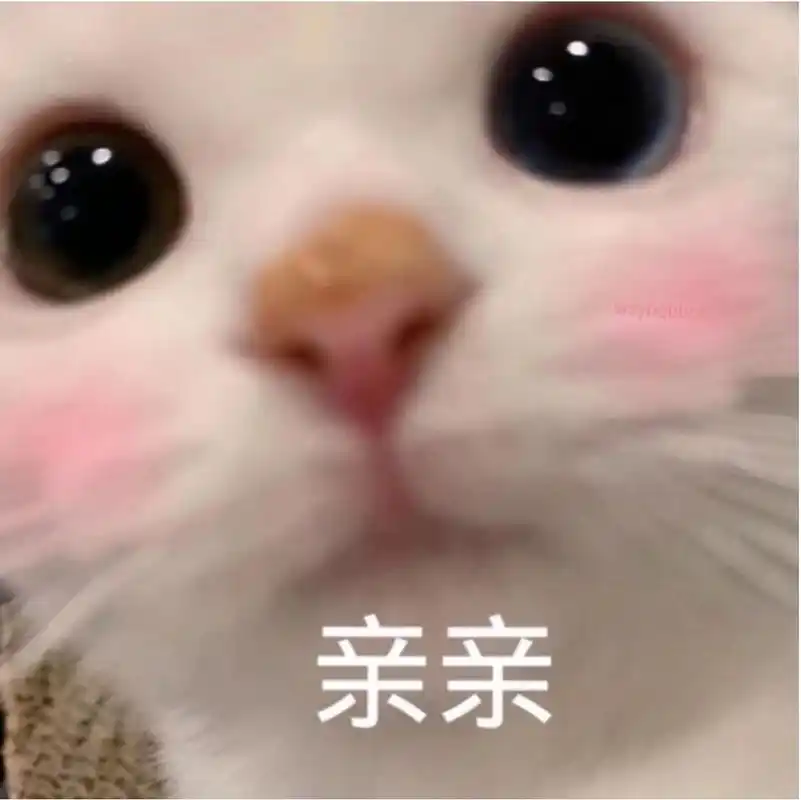 猫咪亲亲表情包