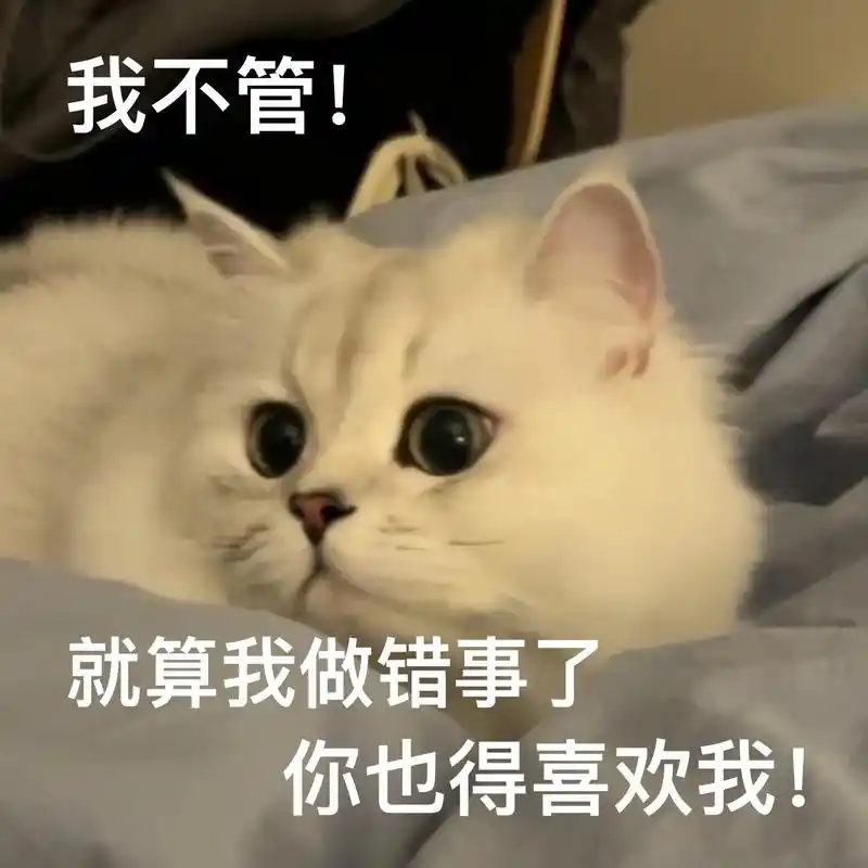 反正你只能跟我天下第一好我不管!#发给对象表情包#猫咪表-抖音