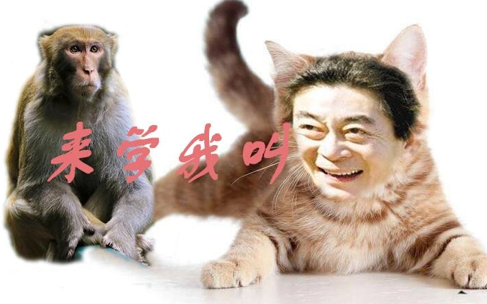 活动作品六小龄童学猴叫重制版