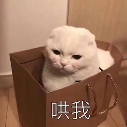 哄我猫猫表情包猫猫表情