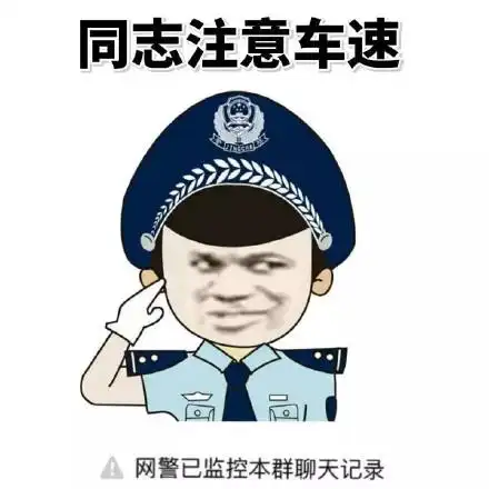 网警已监控本群聊天记录_本群_网警_聊天记录_车速_监控表情