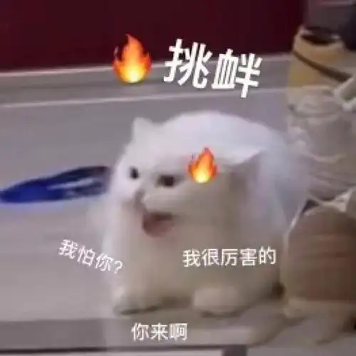 猫猫表情包#猫猫#表情包猫式委屈,可太可爱了!