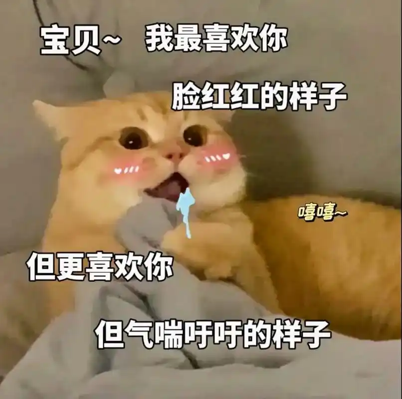 情侣小表情3#聊天表情包#猫咪表情包-抖音