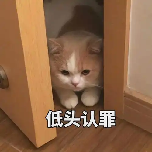 可爱萌系猫咪文字表情包