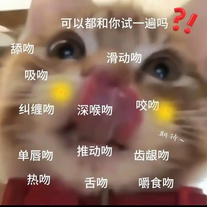 猫咪表情包#发给对象表情包#发给你喜欢的人吧#情侣日-抖音