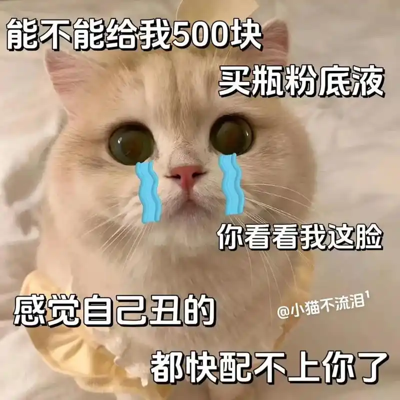 哥哥能不能给我500块买瓶粉底液,感觉自.己丑的,都快配不上-抖音