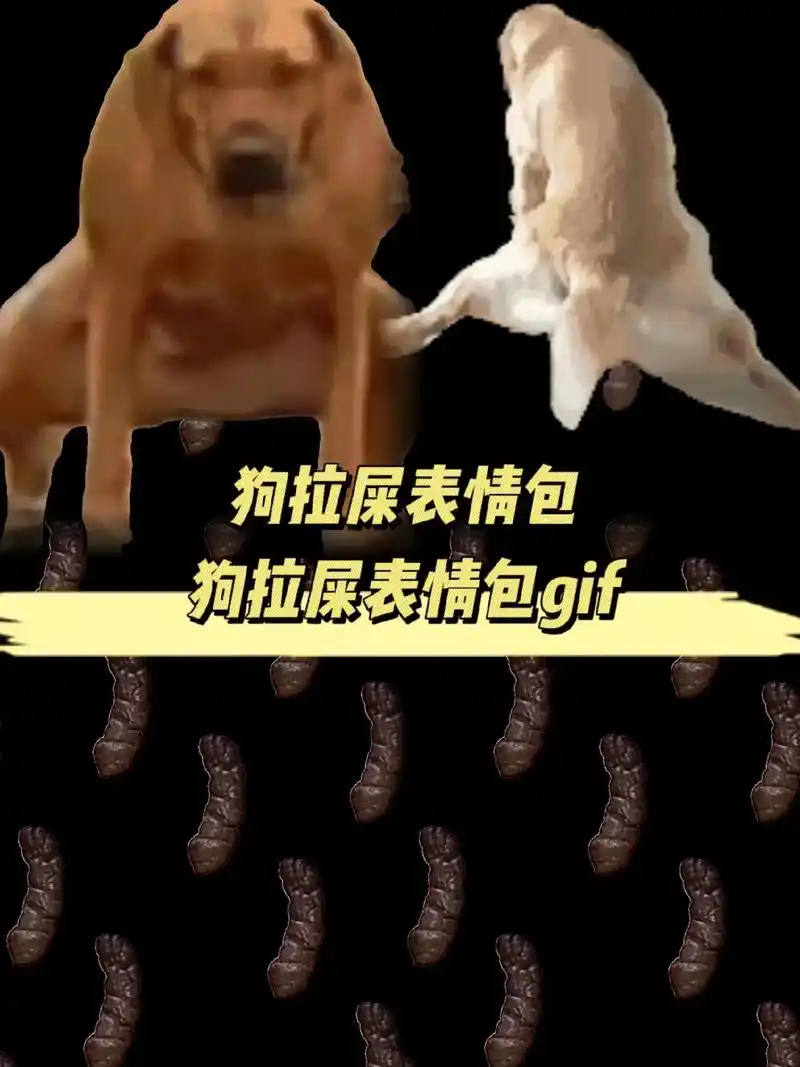 狗拉屎表情包狗拉屎表情包gif.#狗拉屎表情包gif#狗-抖音