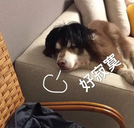热门表情包原图精选57个表情20191216