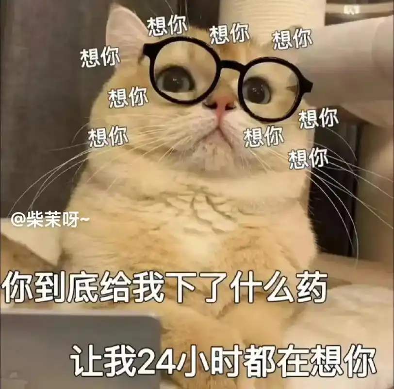 想你了你怎么都不发消息.#猫咪表情包#表情包#趣味表情-抖音