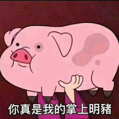 表情包你真是我的掌上明珠