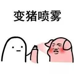 变猪喷雾表情包完整版