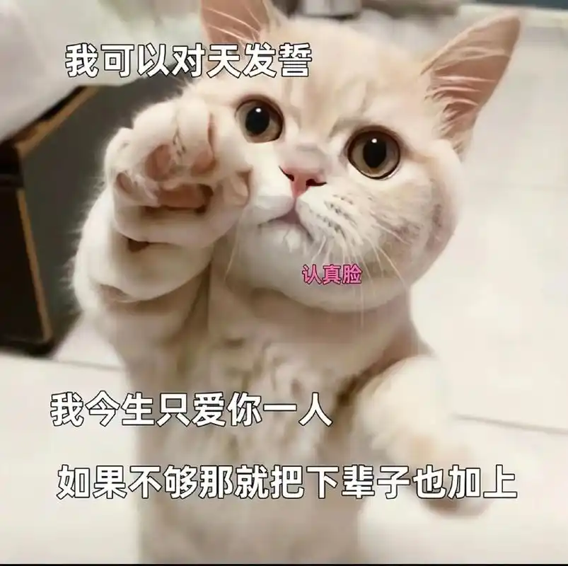 猫咪情话系列,赶紧艾特(ta)来看#发给对象表情包#猫咪表-抖音