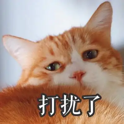 表情包打扰了