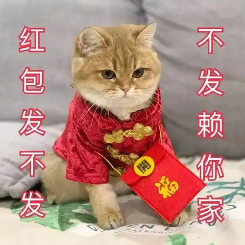 新年表情包|红包交出来