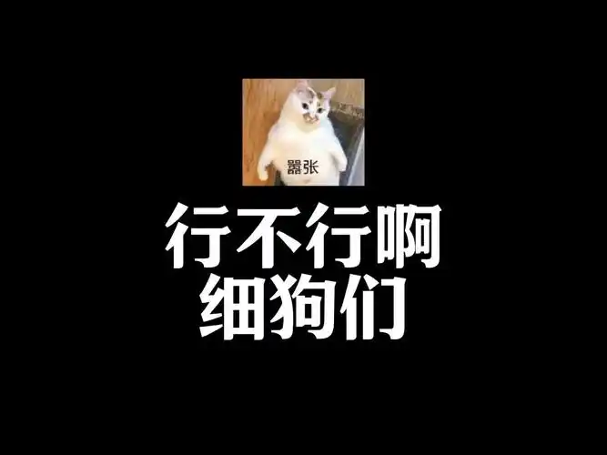 行不行啊细狗