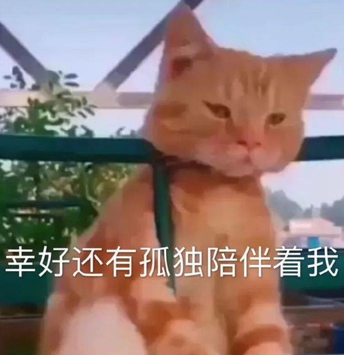 赶工出爱用,不说不行