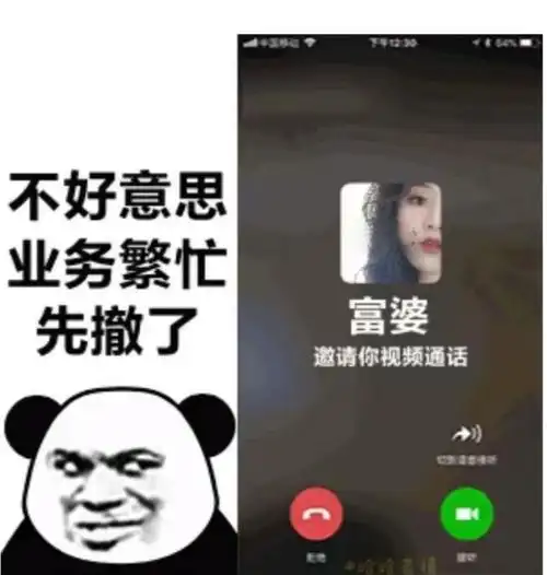 熊猫头(与富婆微信语音通话中):业务繁忙,先撤了