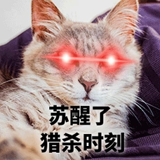 苏醒了猎杀时刻猫咪红眼特效表情包