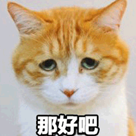 猫那好吧妥协可爱呆萌gif动图_动态图_表情包下载_soogif