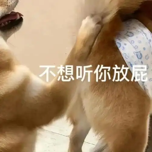 狗狗表情包第一弹