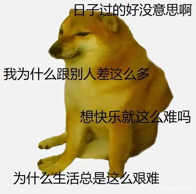 刷屏几亿人表情包的柴犬cheems,正成为下一个doge